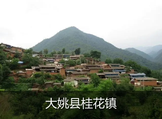 大姚县桂花镇